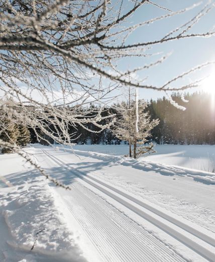 idm-suedtirol-alto-adige-by-benjamin-pfitscher-103